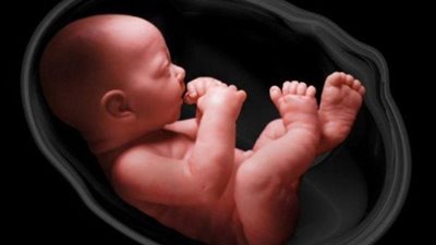 مشاكل النمو العصبي تتضاعف عند الأطفال المعرضين لـ فيروس كورونا في رحم أمهاتهم: دراسة
