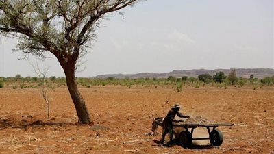 في اليوم العالمي لمكافحة التصحر والجفاف.. تعرف على أهدافه التنموية