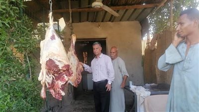 ضبط مجمدات فاسدة ومحل جزارة ذبح عجولا خارج المجازر في الأقصر