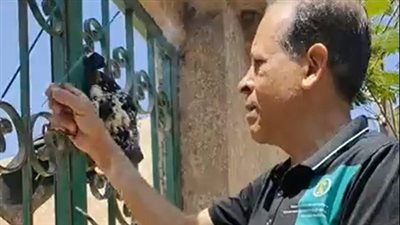 توافد عدد من المواطنين على قبر الطالبة نيرة أشرف لزيارتها.. وأحدهم: جاتلي في المنام | بث مباشر