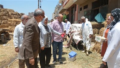 محافظ القليوبية يشهد انطلاق الحملة القومية للتحصين ضد الحمى القلاعية وحمى الوادي المتصدع