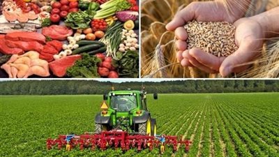 منظمات دولية: يجب اتخاذ إجراءات لتشجيع المزارعين والصيادين على تعزيز الإنتاج الغذائي المستدام