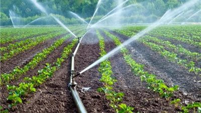 التخطيط: 82.9 مليار جنيه استثمارات مستهدفة لقطاع الزراعة والري خلال خطة 22-2023 