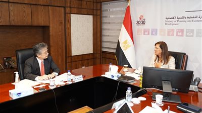 التخطيط: 7% ارتفاعًا في الصادرات المصرية لـ اليابان خلال عام