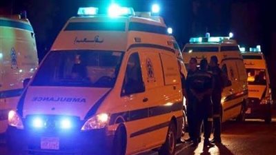 حوادث الفيوم | أب يقتل ابنه بقالب طوب ووقوع مصابين في مشاجرة بين عائلتين | بث مباشر