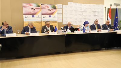 بالتعاون مع الاتحاد الأوروبي.. تجارية الإسكندرية تطلق مشروع نحل العسل لأجل ازدهار اقتصادي