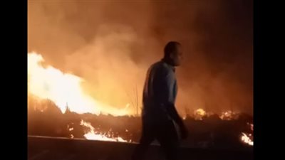 قائد قطار ومساعده ينجحان في السيطرة على حريق بجوار قضبان السكة الحديد بالعياط | صور 