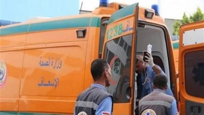 إصابة 15 شخصًا في انقلاب ميكروباص بطريق السويس - العين السخنة