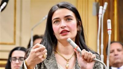 إيرين سعيد عضو صحة النواب: فتاوى الحلال والحرام أخرت تطبيق قانون زراعة الأعضاء.. ولا أفضل وجود تشريع لتحديد النسل| حوار 