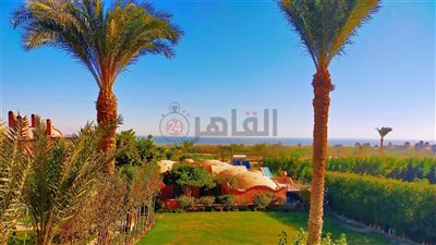 انخفاض درجات الحرارة في الفيوم.. والعُظمى 35 