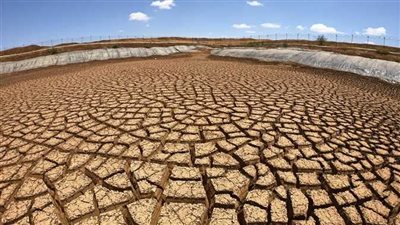تعهدات بتقديم 30 مليار دولار لتعزيز الأمن الغذائي بإفريقيا خلال خمس سنوات 