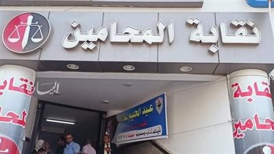 29 ألف محامٍ في الإسكندرية يختارون النقيب العام.. وتجهيز 44 لجنة لاستقبال الناخبين