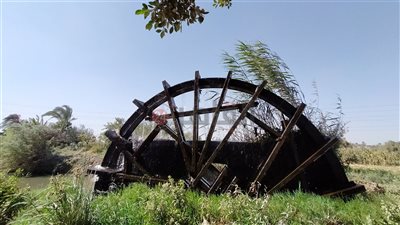 انخفاض ملحوظ في درجات الحرارة بالفيوم.. والعظمى 33 مئوية