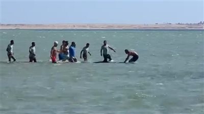 txt