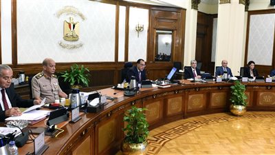 الحكومة توافق اعتبار مشروع «جريفولز إيجيبت لمشتقات البلازما» من المشروعات الاستراتيجية والقومية