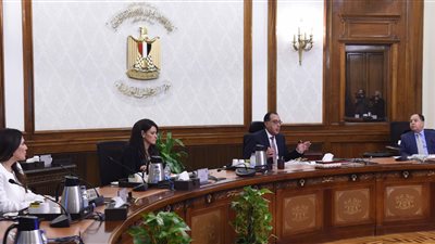 الحكومة توافق على التعاقد مع شركات لتدبير الاحتياجات من مبيدات يرقات البعوض