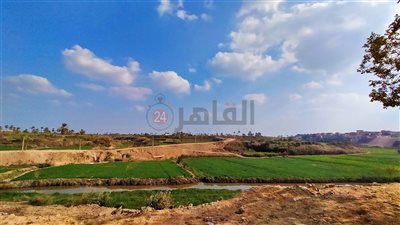 انخفاض ملحوظ في درجات الحرارة بالفيوم.. والصُغرى تسجل 20 مئوية