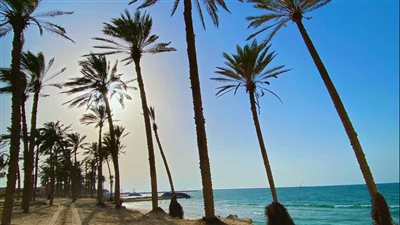 القاهرة تسجل 32 درجة.. موجز أخبار الطقس غدًا الاثنين 19-9-2022