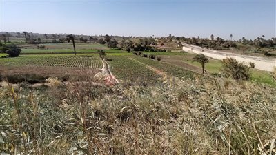 ارتفاع نسبي في درجات الحرارة بالفيوم