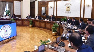 رئيس الوزراء يوجه بهيكلة دعم الصادرات وزيادة المخصص إلى التصدير بإفريقيا