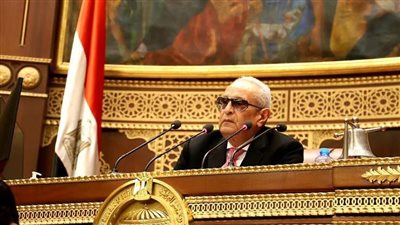 أبو شقة يوضح تصريحاته بشأن تخصيص نسبة من مرتبات المصريين بالخارج للدولة