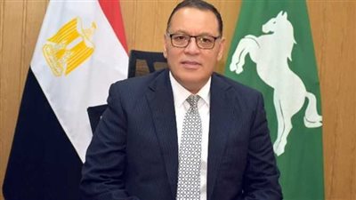 ضبط طن لحوم وأسماك مخالفة خلال حملات تفتيشية بالشرقية