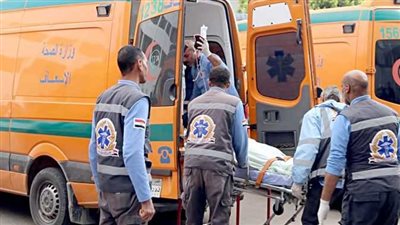 مصرع 8 أشخاص وإصابة 5 آخرين في انقلاب سيارة ربع نقل من أعلى كوبري بمطروح