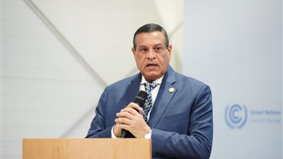 وزير التنمية المحلية يستقبل محافظ الجيزة لمناقشة مشروعات حياة كريمة وإجراءات ضبط الأسعار 