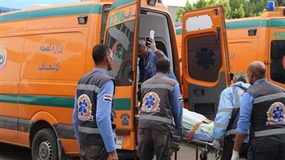 كانوا راجعين من الكوافير.. وفاة عريس وإصابة خطيبته في قرية بالقليوبية