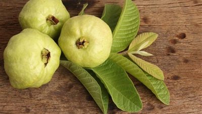 تساعد على النمو والوقاية من العيوب الخلقية بالعمود الفقري.. تعرف على أهمية تناول الجوافة للأطفال