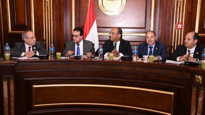 خالد عبد الغفار يستعرض خطة الوزارة أمام صحة الشيوخ