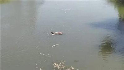 تفاصيل مصرع طفل غرقًا في مياه ترعة أثناء لهوه أمام منزله بالغربية | بث مباشر 