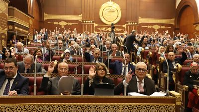 صحة الشيوخ توصي بالدعم الكامل للملف الصحي لمحافظة المنيا
