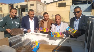 ضبط 27 ألف عبوة حلوى و250 كيلو شكولاتة غير صالحة للاستهلاك الآدمي بمصنع مخالف بالبحيرة