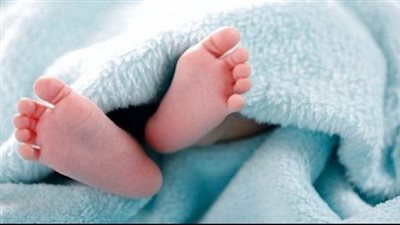 دهسها والدها بالخطأ.. مصرع صغيرة تحت عجلات جرار زراعي في المنيا | بث مباشر
