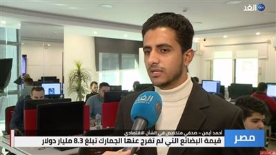 أحمد أيمن: الإفراج الجمركي عن البضائع المستوردة أدى لخفض أسعار السلع في مصر