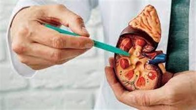 دراسة: شريحة جبن يوميًا قد تقلل خطر حصوات المرارة حوالي 26%