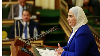 بحضور الوزيرة.. تضامن البرلمان تعقد آخر جلسات نتائج إعلان 2022 عامًا للمجتمع المدني