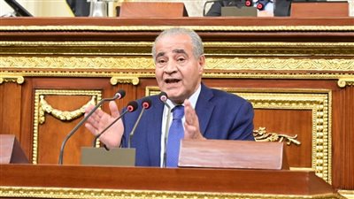 وزير التموين: الحكومة لما اتدخلت للتسعير الإجباري سوق الأرز باظ | بث مباشر