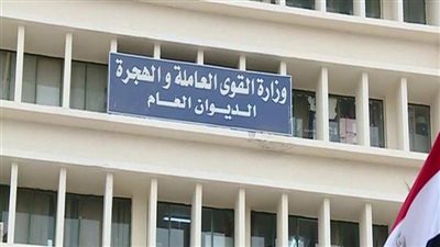 برواتب تبدأ من 3 آلاف جنيه.. القوى العاملة تطرح وظائف للإناث بالغربية وتوضح طريقة التقديم | بث مباشر