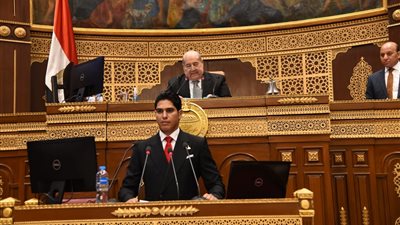 مجلس الشيوخ يوافق على دراسة أبو هشيمة عن الشباب وسوق العمل غير الرسمي