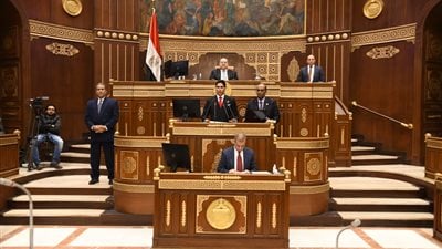 النائب أحمد أبو هشيمة يوصي بإعداد خريطة استثمارية وإنشاء هيئة عليا للقطاع غير الرسمي 