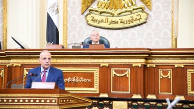 برلماني يطالب بـ إنشاء محكمة متخصصة للنظر في التعديات على نهر النيل