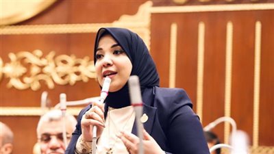 ننشر الطلب المقدم للحكومة بشأن تنفيذ آليات التحاق أطفال التوحد بالمدارس قبل مناقشته بالشيوخ
