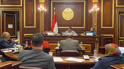 تضامن النواب توصي بمراجعة شاملة لمشاكل برامج الحماية الاجتماعية 