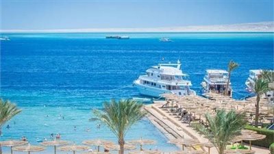 طقس مستقر.. استمرار الملاحة البحرية والرحلات السياحية بالغردقة| بث مباشر 