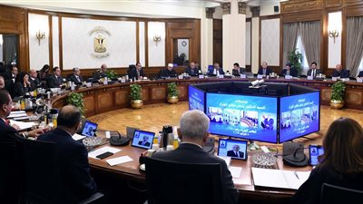فترة سماح لمدة عامين.. قرار حكومي جديد بشأن ضوابط التصرف في الأراضي الصناعية وتسعيرها
