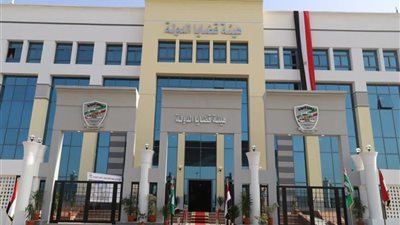 بحكم قضائي لصالح المالية.. هيئة القضايا تنعش خزينة الدولة بـ 29 مليون جنيه 