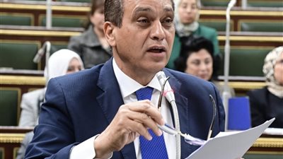 الحكومة ترفض استيراد سيارات معفاة للمصريين بالخارج مرت على صنعها 5 سنوات
