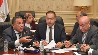 ممثلو شركات الكهرباء لـ النواب: ملتزمون بإعفاء الأندية الرياضية 75% من قيمة الخدمة 
